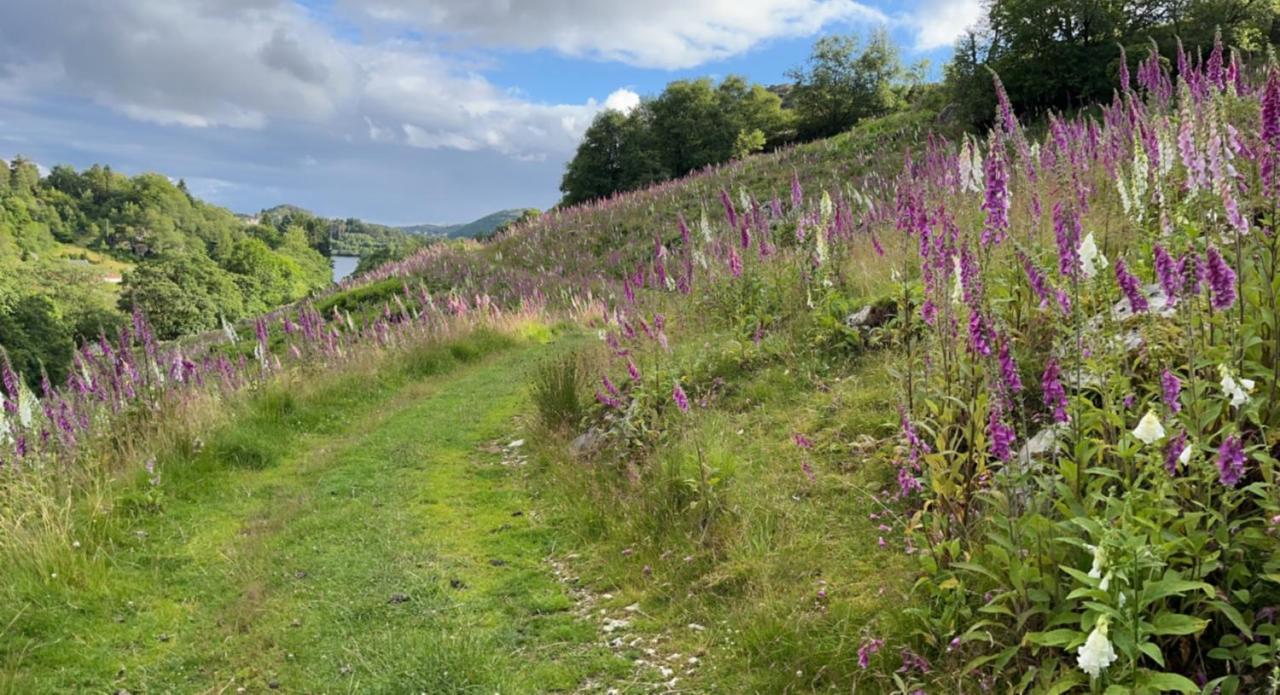 Naf Steinsnes Camping Egersund Extérieur photo